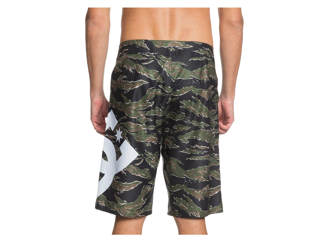 imagem-3613374991224