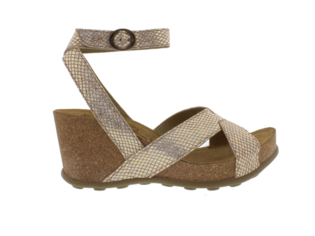 imagem-5601382171446