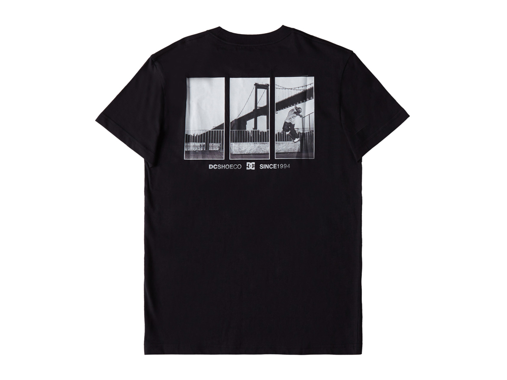 imagem-3613378311394