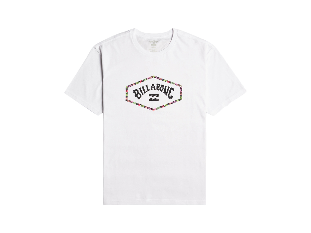 imagem-3613378512654