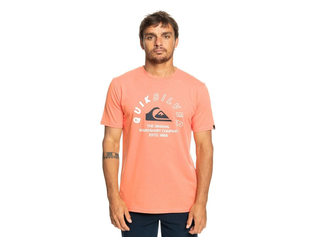 imagem-3613378421321