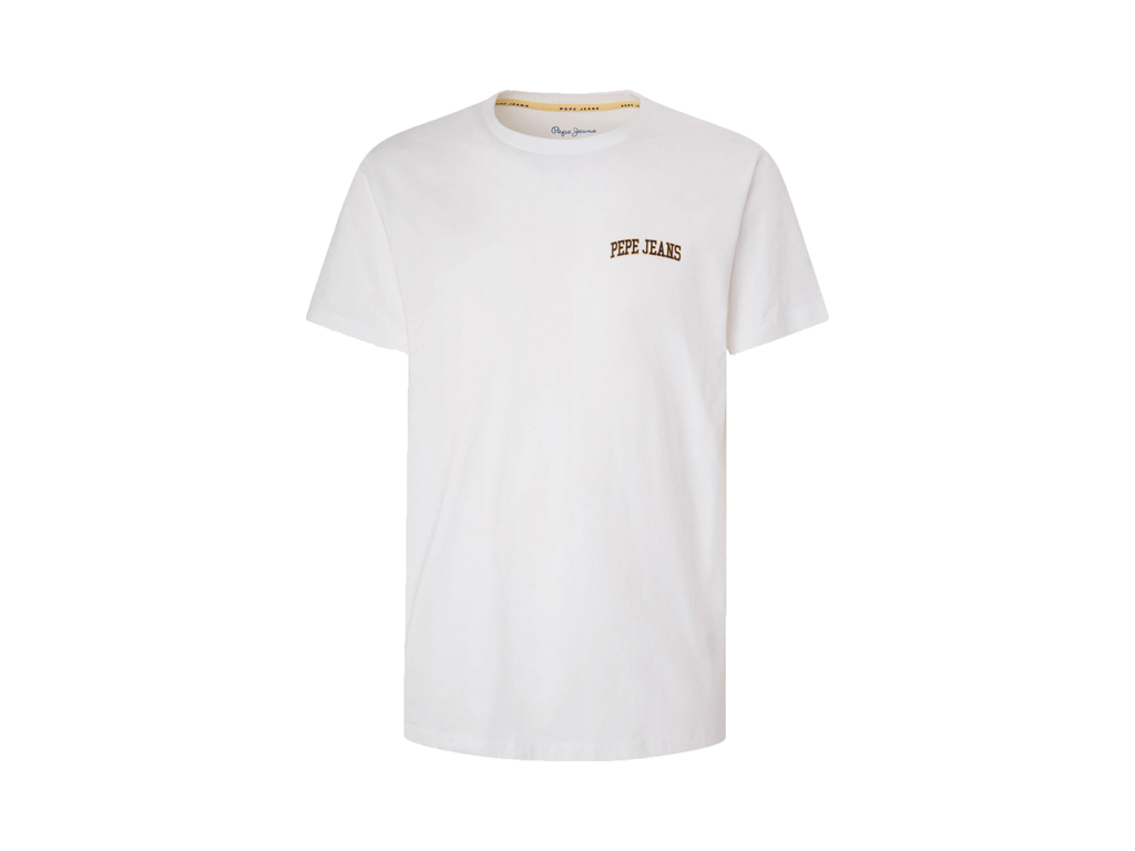 imagem-8445512833647