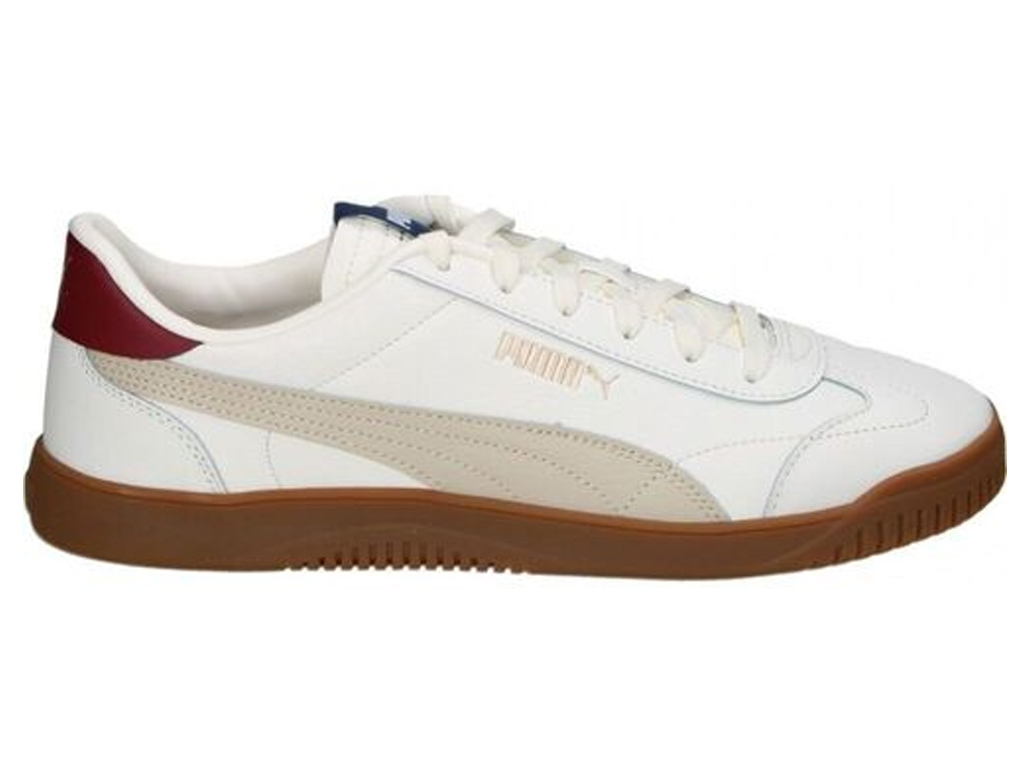 imagem-4099686093396