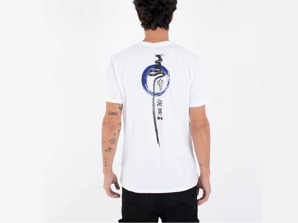 imagem-8433813754013