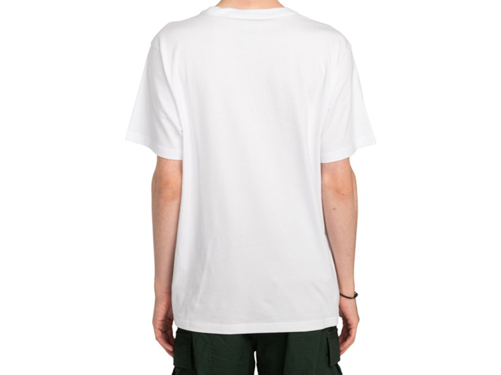 imagem-3616750253749