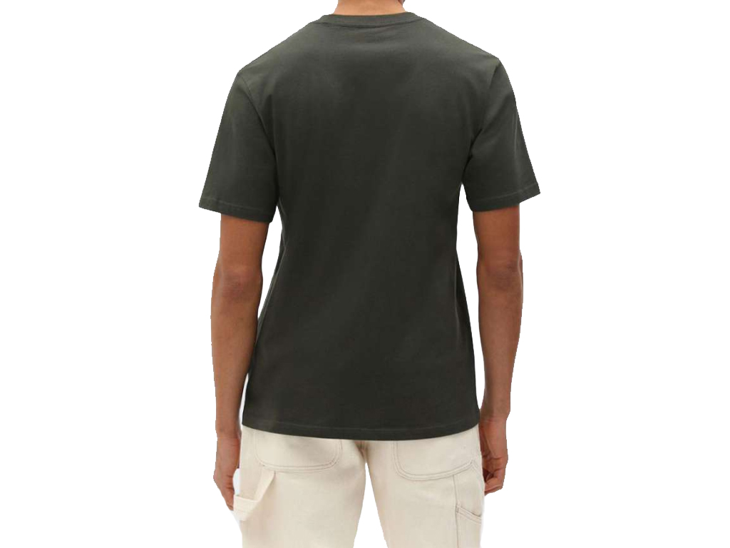 imagem-0194903388621